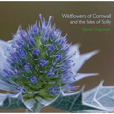 Wildflowers of Cornwall and the Isles of Scilly - Chapman, David