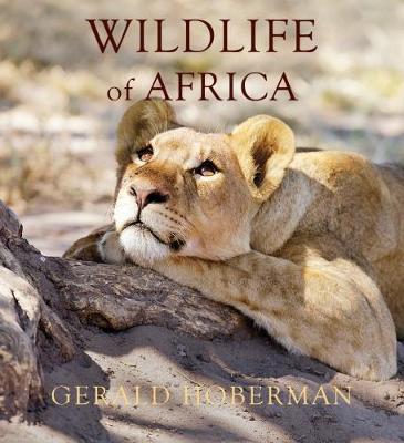 Wildlife of Africa - Hoberman, Gerald, and Gaynor, Dave (Editor), and Hockey, Phil (Contributions by)