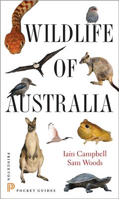 Wildlife of Australia - Campbell, Iain, and Woods, Sam