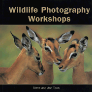 Wildlife Photography Workshops