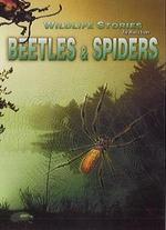 Wildlife Stories: The Whole Story - Beetles and Spiders
