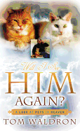 Will I See Him Again? A Look At Pets In Heaven