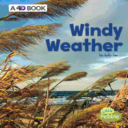 Windy Weather: A 4D Book