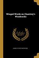 Winged Words on Chantrey's Woodcocks