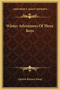 Winter Adventures of Three Boys