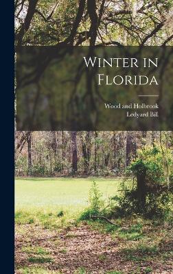 Winter in Florida - Bill, Ledyard, and Wood and Holbrook (Creator)