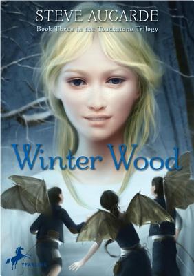 Winter Wood - Augarde, Steve