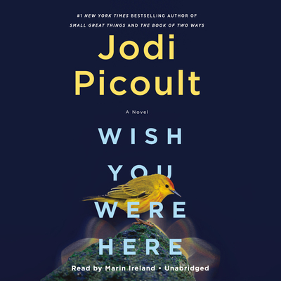 Wish You Were Here - Picoult, Jodi, and Ireland, Marin (Read by)