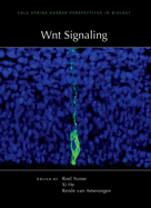 Wnt Signaling