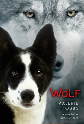 Wolf - Hobbs, Valerie