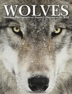 Wolves: Stunning Photographs of Nature's Hunters in the Wild