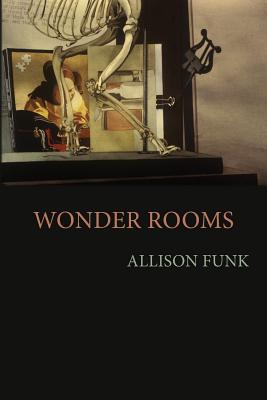 Wonder Rooms - Funk, Allison