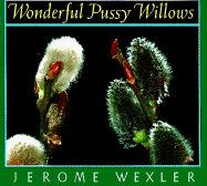 Wonderful Pussy Willows - Wexler, Jerome