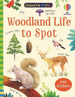 Woodland Life to Spot - Nolan, Kate
