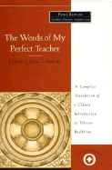 Words of My Perfect Teacher - Rinpoche, Patrul