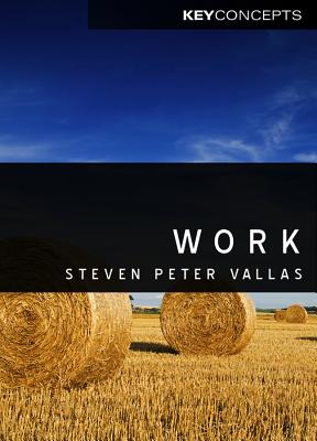 Work: A Critique - Vallas, Steven