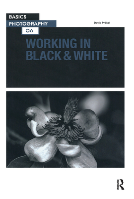 Working in Black & White - Prkel, David