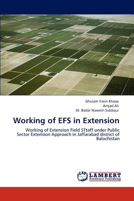 Working of Efs in Extension - Yasin Khoso, Ghulam, and Ali, Amjad, and Siddiqui, Badar Naseem, Dr.