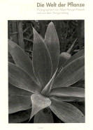 World of Plants: Photographs by Albert Renger-Patzsch and Auriga - Staum, Rainer