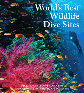 World's Best Wildlife Dive Sites: 32 of the best underwater wildlife experiences