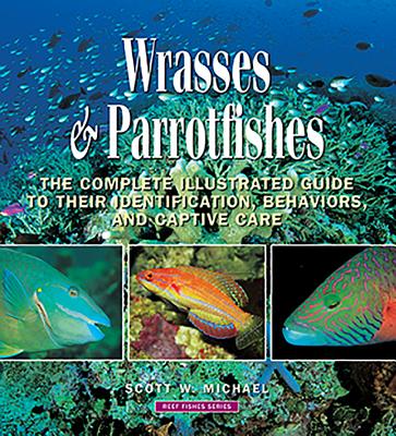 Wrasses & Parrotfishes - Michael, Scott W