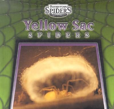 Yellow Sac Spiders - Ethan, Eric