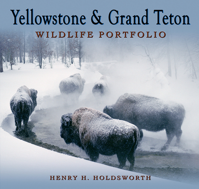 Yellowstone & Grand Teton Wildlife Portfolio (Sc) - Holdsworth, Henry H
