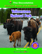 Yellowstone National Park: A Natural Wonder