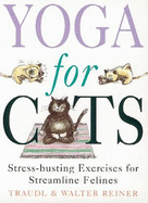 Yoga For Cats