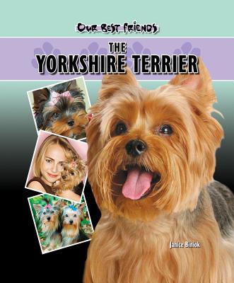 Yorkshire Terrier - Biniok, Janice