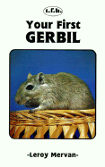 Your First Gerbil - Mervan, LeRoy