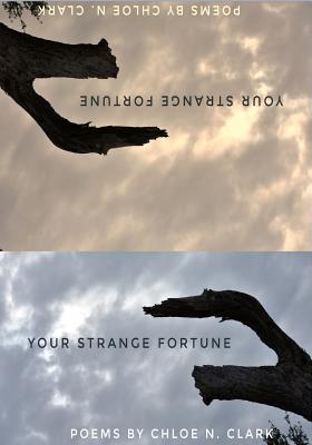 Your Strange Fortune - Clark, Chloe N