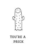 You're a Prick: Cactus Notebook, 110 Pages, 6' X 9'