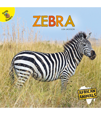 Zebra - Jackson