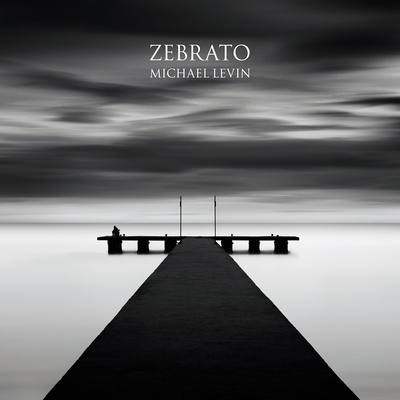 Zebrato - Levin, Michael (Photographer)