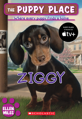 Ziggy (the Puppy Place #21) - Miles, Ellen