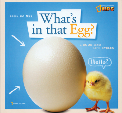 Zigzag: What's in That Egg?: A Book about Life Cycles - Baines, Becky