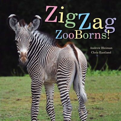 Zigzag Zooborns!: Zoo Baby Colors and Patterns - Bleiman, Andrew, and Eastland, Chris